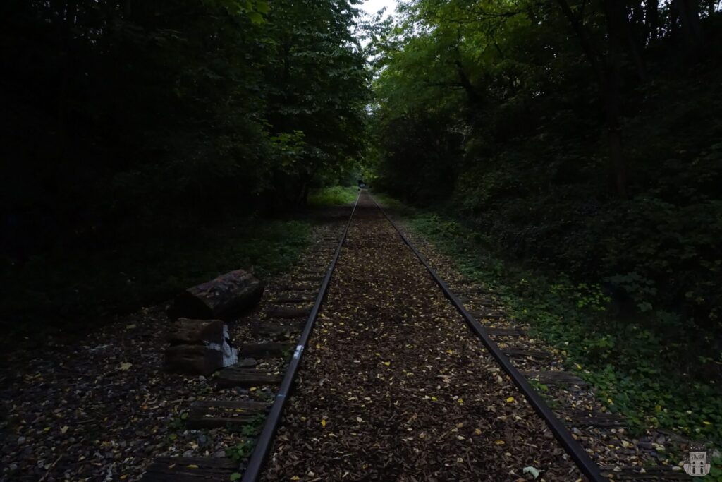 La Petite Ceinture