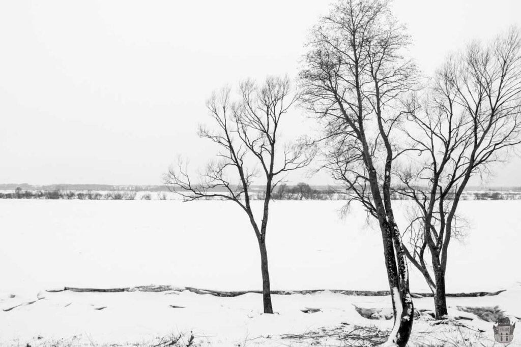 View from the Mežciems abandoned sanatorium in Daugavpils