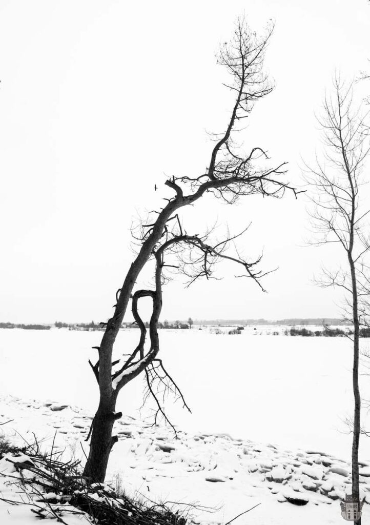 View from the Mežciems abandoned sanatorium in Daugavpils