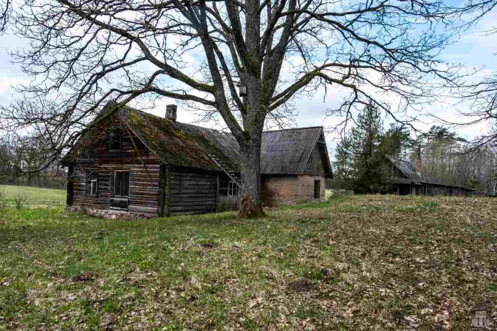 Area surrounding the Tolkas pareizticīgo baznīcas drupas with several ruined houses

Marriage