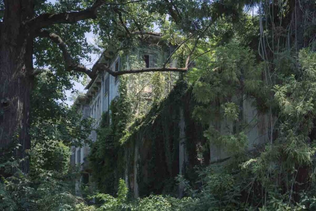External view of abandoned villa Becker completely overgrown by trees and wild vegetation.
